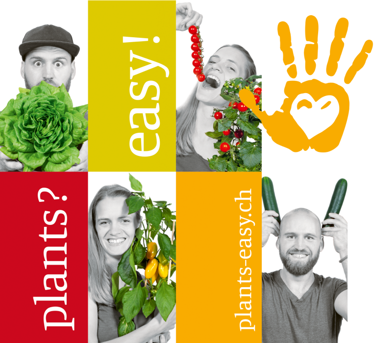Plants?easy! Gemüse – So einfach geht’s! 