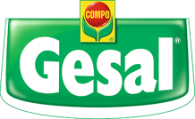 Beratertag Gesal / Compo 