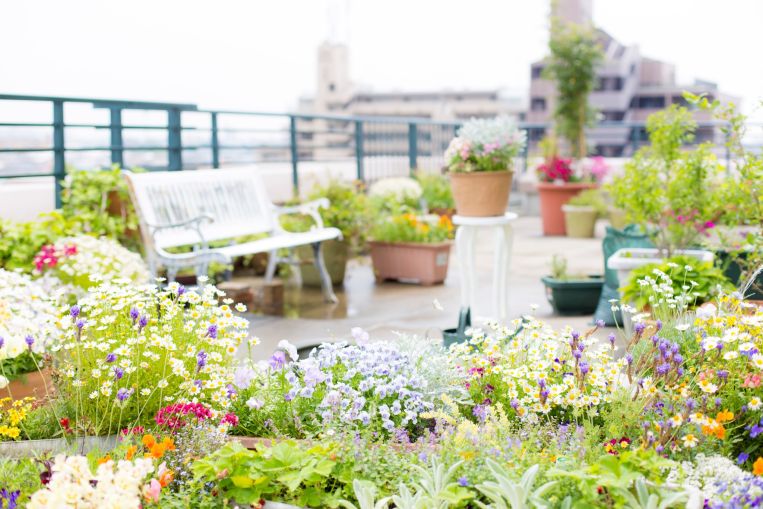 Naturnah und biodivers – Terrasse für Insekten