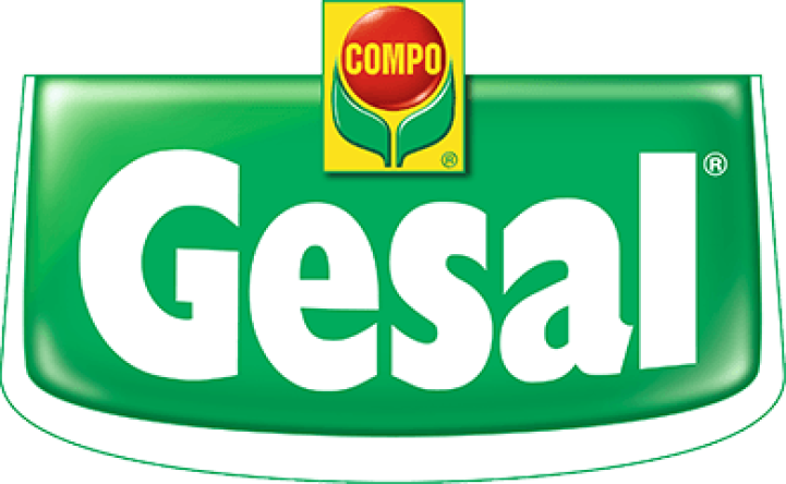 Beratertag Gesal / Compo 